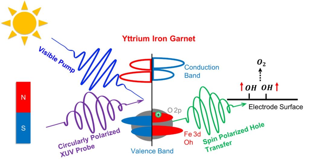 Publications The Baker Group