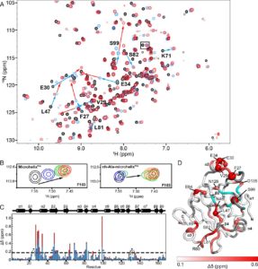 Pnas copyright thesis picture