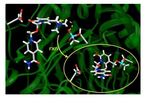 methylation