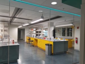 Celeste Basement Lab nears completion – Kohler Group