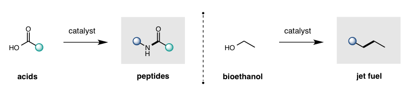 C-O activation - applications