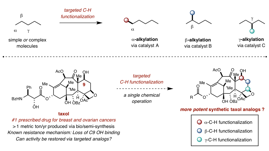 taxol target