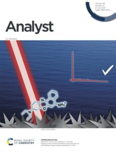 Journal Cover Image highlight Schorr et al. Analyst 2024.