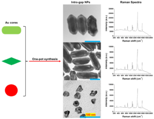 TOC image showing different nanoparticles formed and their surface enhanced Raman scattering spectra.