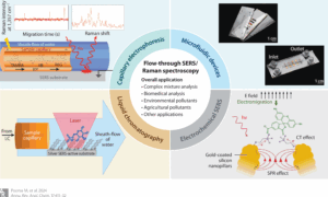 Image illustrating contents of Poonia et al. Annual Review of Analytical Chemistry article, 2024