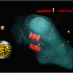 TOC figure from Scarpitti et al.  ACS Sensors 2024