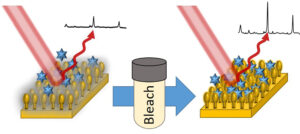 TOC image for Morder et al, Applied Spectroscopy 2024