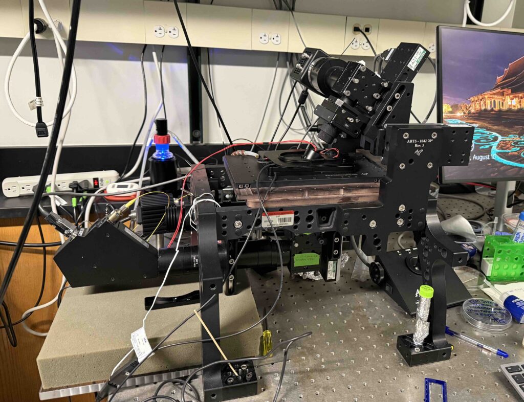 selective plane illumination microscope setup