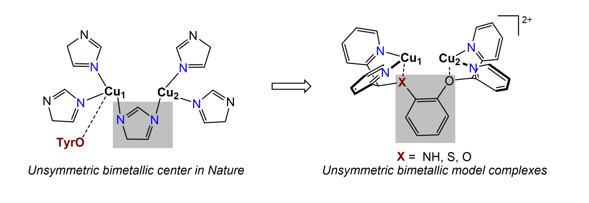 Research Shiyu Zhang Lab