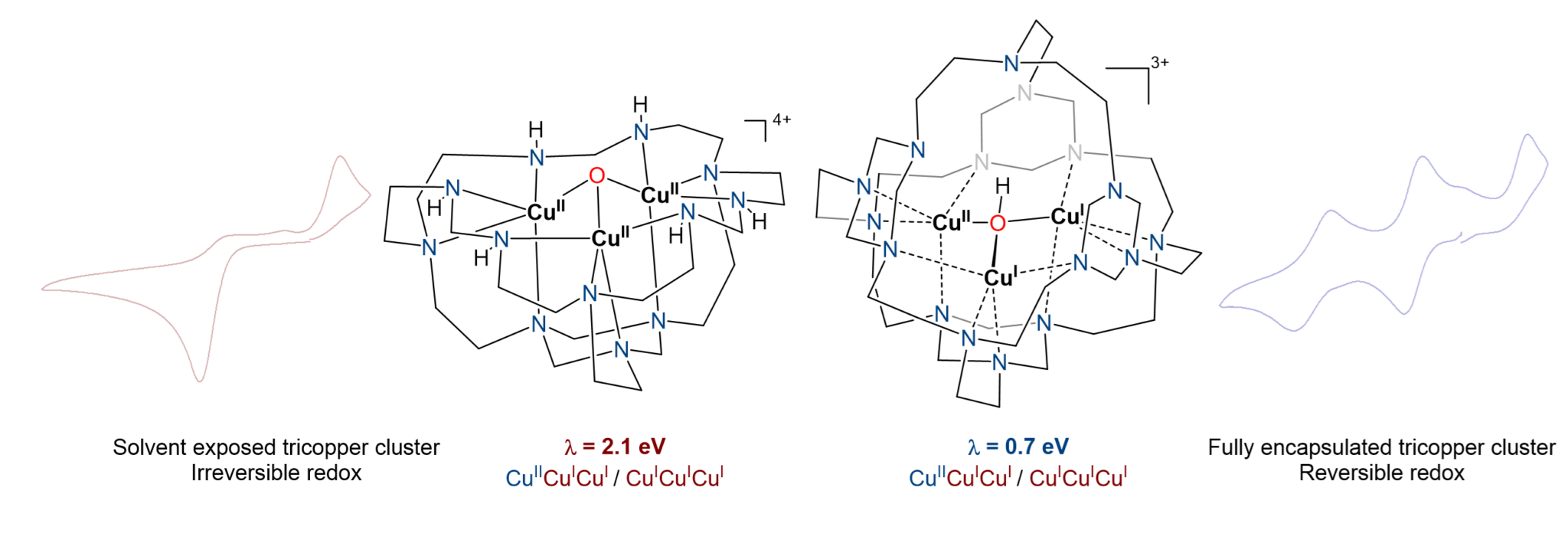 Publications Shiyu Zhang Lab