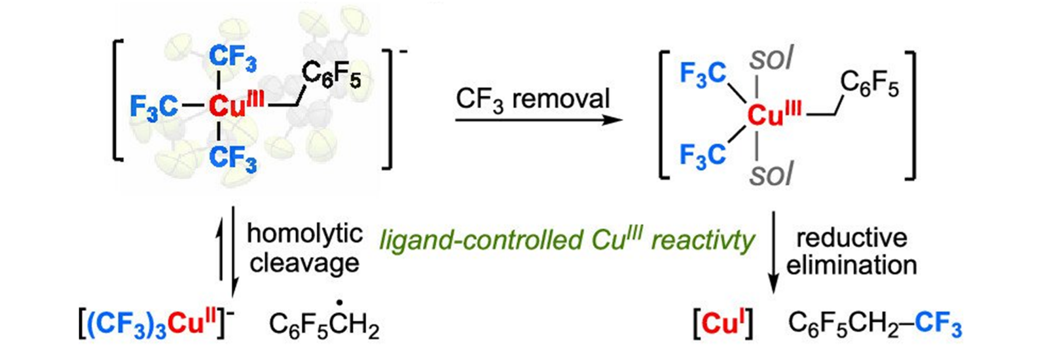Shiyu Zhang Lab at Jessica Ramirez blog