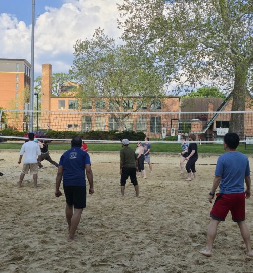Group volleyball 2026