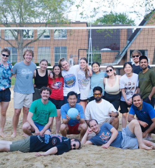 Group volleyball 2026