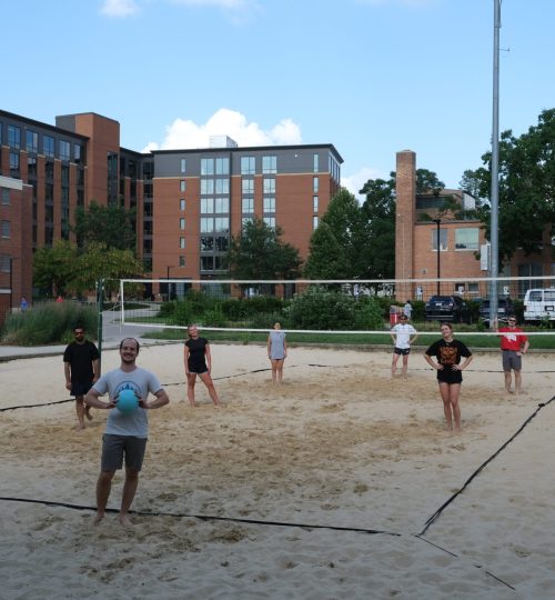 Volleyball game